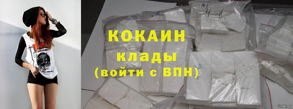 дмт Арсеньев