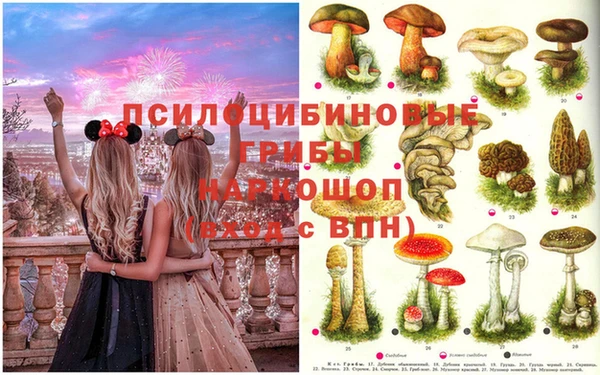 винт Алексеевка