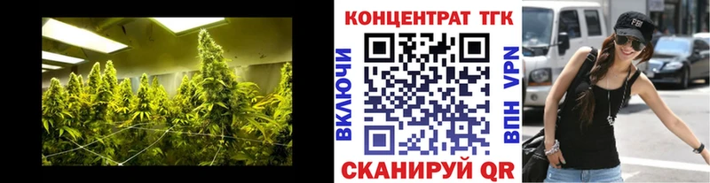 площадка официальный сайт  Новодвинск  ТГК вейп  цены  