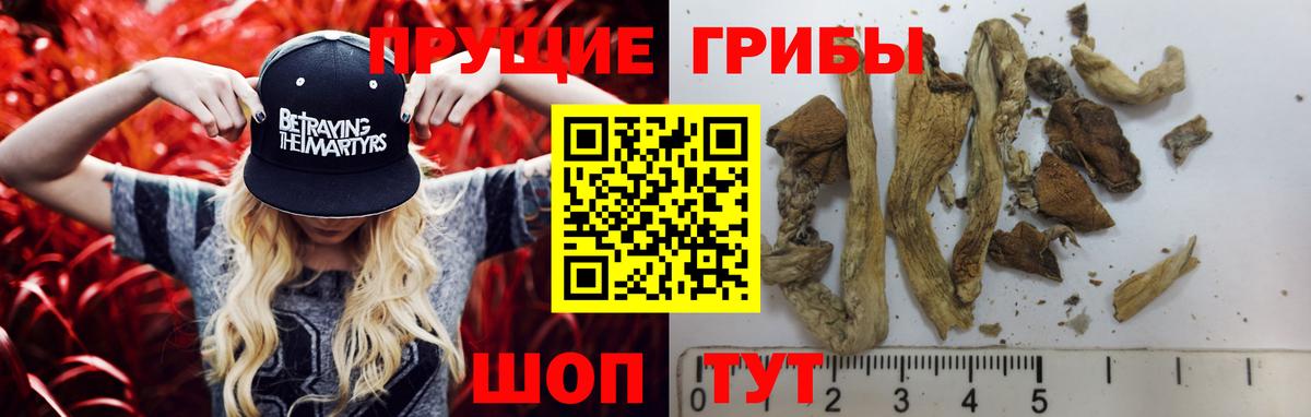 Галлюциногенные грибы прущие грибы Новодвинск