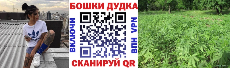 наркотики Новодвинск Марихуана планчик